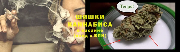 шишки Алексеевка
