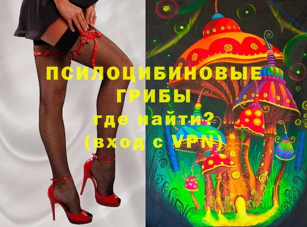 стафф Алексин
