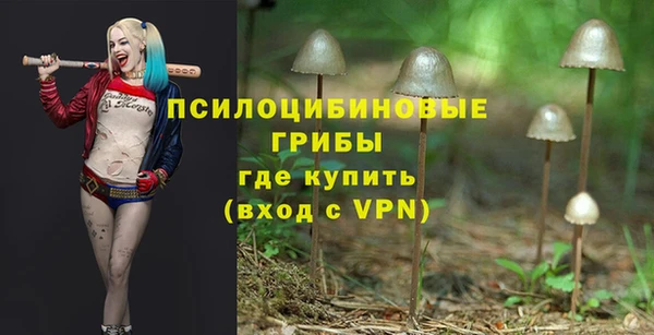 героин Алзамай